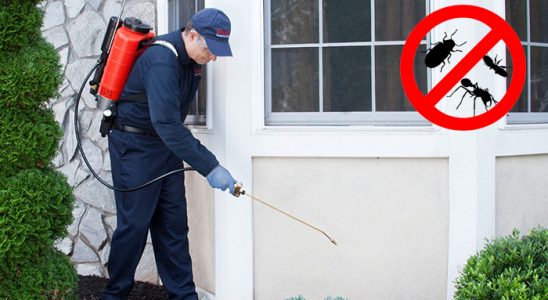 Armutlu Kemirgen İlaçlama böcek ilaçlama ve haşere kontrolü — ilaclama-tr.com